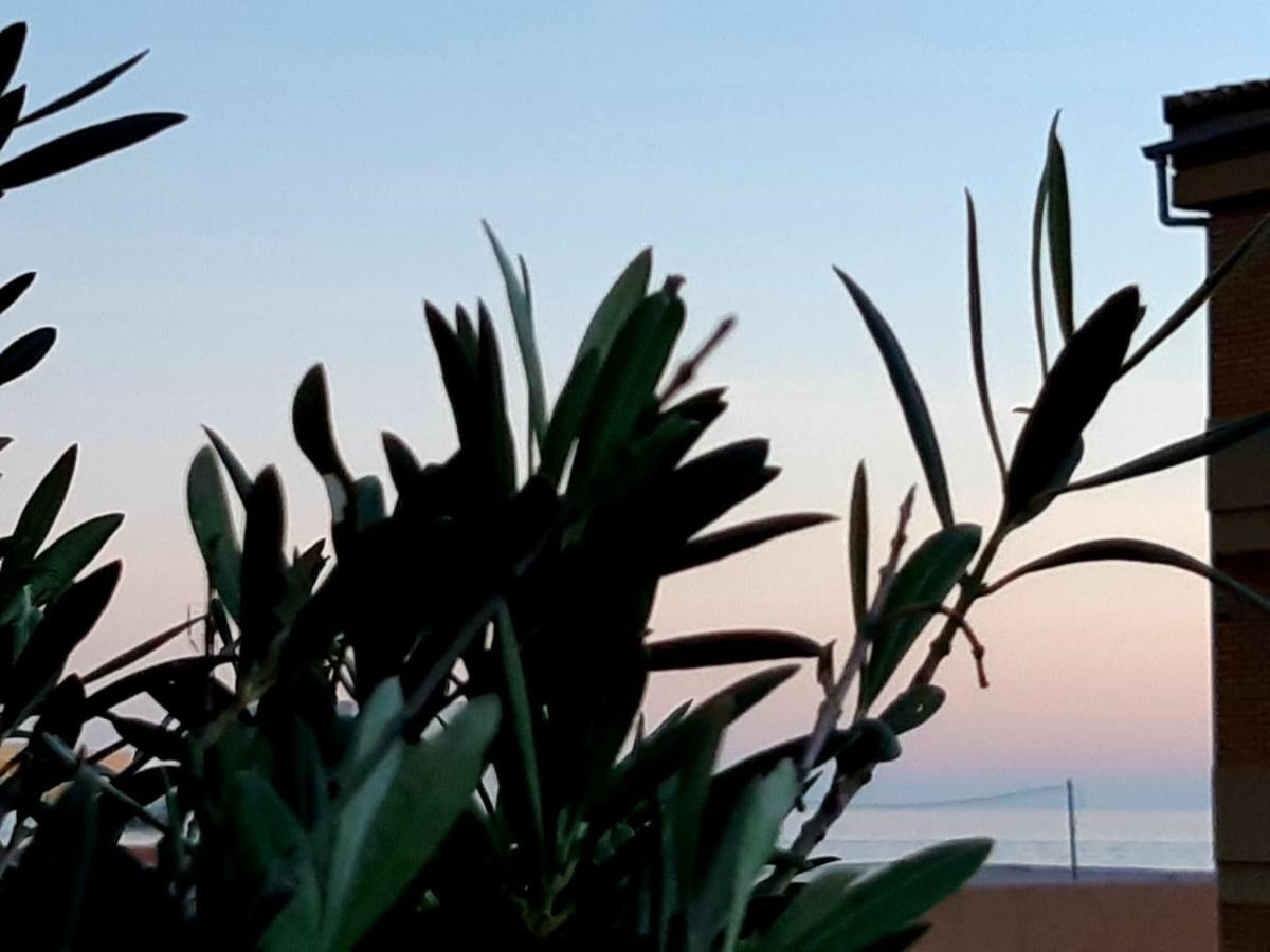 Terraza Y Playa Costa Tropical Apartment Torrenueva  Ngoại thất bức ảnh